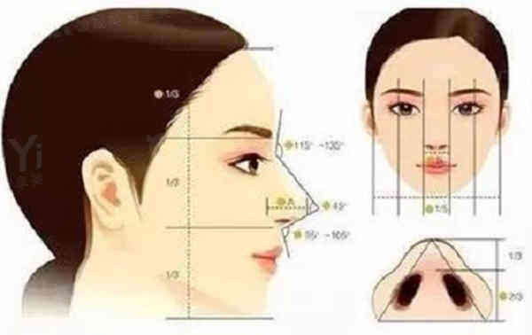 耳软骨和肋骨鼻有什么区别