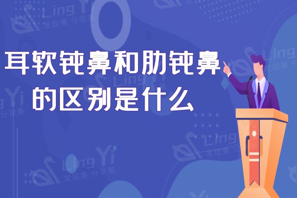 耳软骨和肋骨隆鼻有什么区别？哪个好一点？能保持多久？