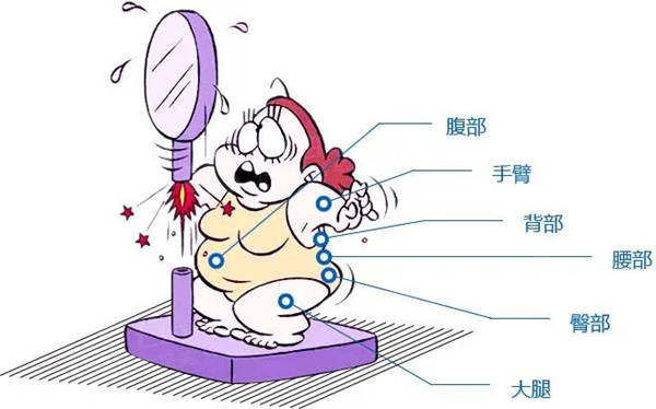 吸脂一次可以做几个部位