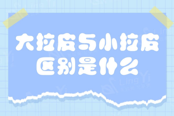 大拉皮与小拉皮的区别是什么？了解两者优势发现它们区别不只是切口