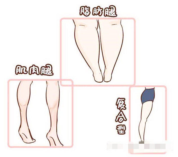 脂肪型腿和肌肉型腿的对照图
