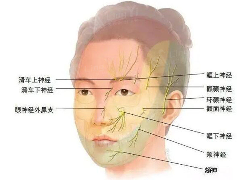 面部神经损伤