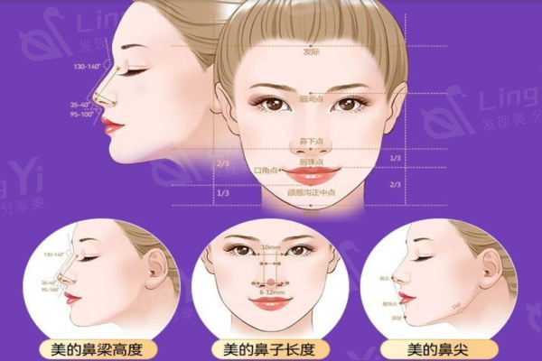 美鼻标准
