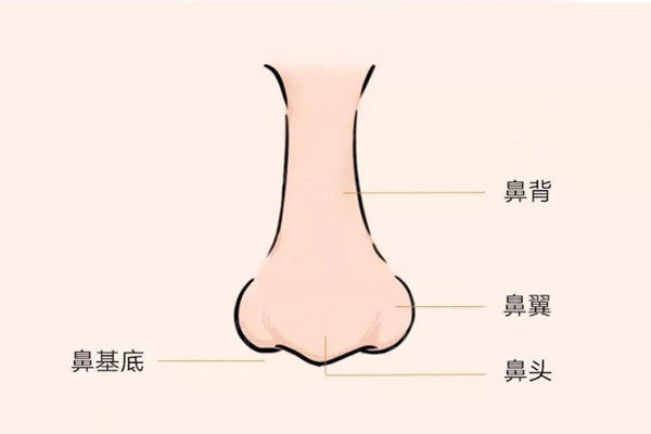 鼻整形