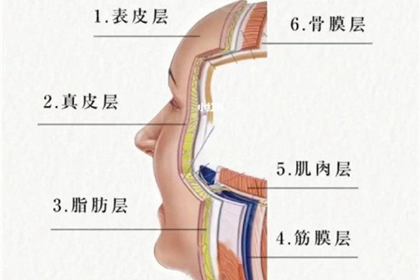 抗衰