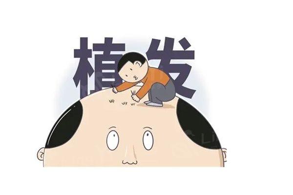 北京碧莲盛植发怎么样？想知道去过的友友怎么评价