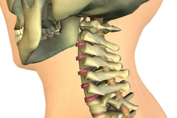 颈椎压迫神经的十个表现看仔细，4个动作让颈椎自愈