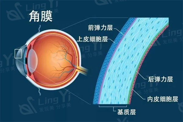 沈阳普瑞眼科