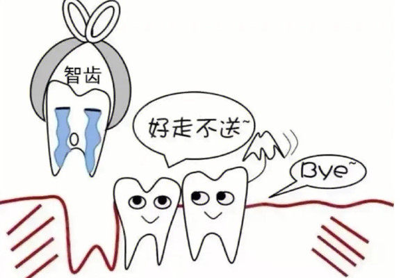 智齿