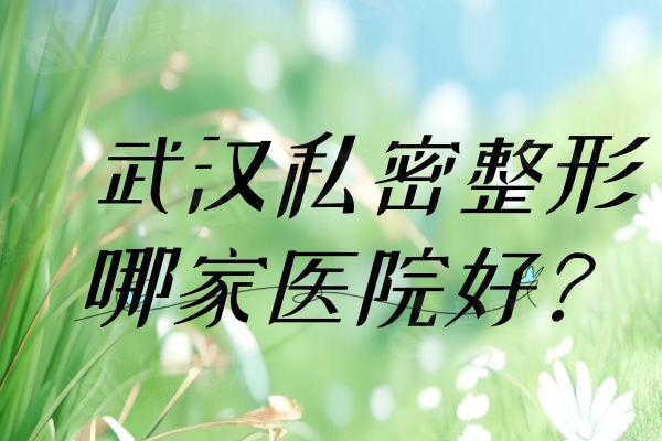 武汉私密整形哪家医院好？2024排行榜手术优势医生抢先看：
