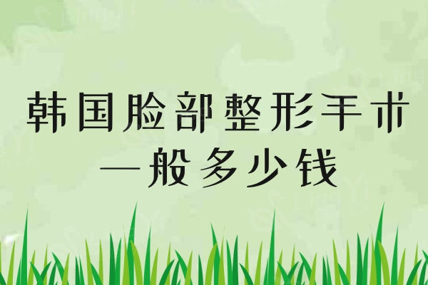 韩国脸部整形手术一般多少钱?原辰/珠儿丽/优雅人整容全脸收费价格曝光