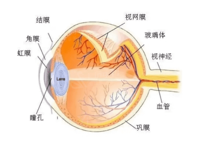 看一看广州视百年眼科眼科项目要多少钱 近视眼9900起可网站挂号预约哟
