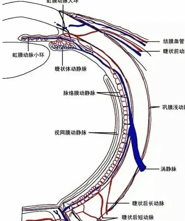 揭晓广西桂林赋盈眼科眼科项目收费贵吗 技术靠谱还有优惠