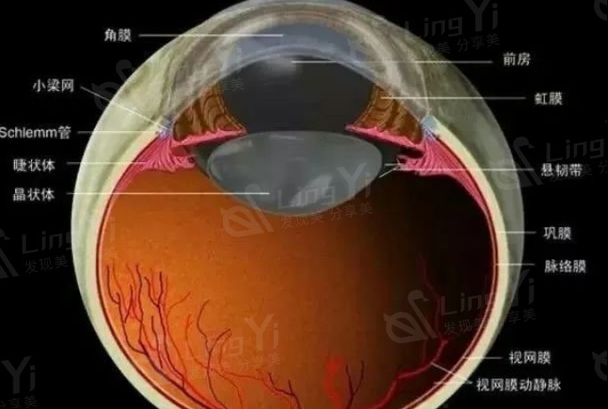 新版宁波华厦眼科眼科项目收费标准公开 半飞11500+近视眼9900+icl晶体植入7000+