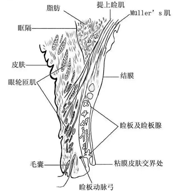 东莞老视手术眼科医院排名 东莞友华普惠眼科、东莞华厦眼科、东莞光明眼科医院这几家好且便宜