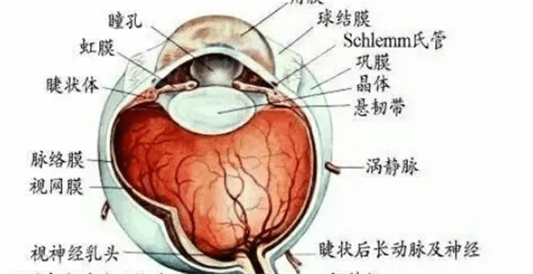 杭州双焦点晶体便宜又好的眼科医院 杭州茗视佳眼科医院/太学/杭州爱尔眼科医院技术牛口碑好