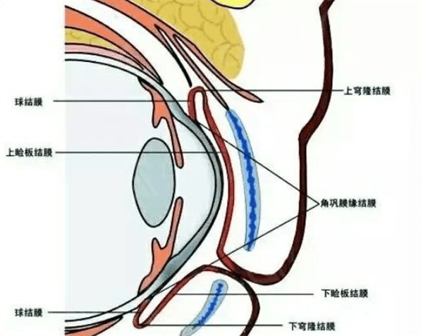 杭州SMILE全飞秒9大排名榜已上线 口碑好又正规的眼科诊所