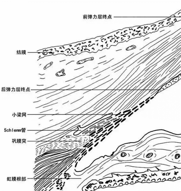 西安EVO散光晶体眼科医院排名 西安有名的是西安医大眼科、西安佰视佳眼科、凌渡