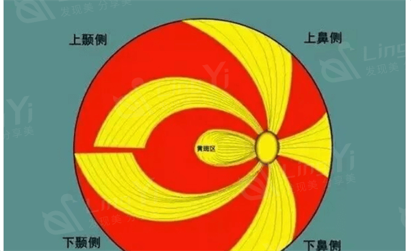 大连全飞秒smile好的医院排名 这些医院做全飞秒smile都不错！