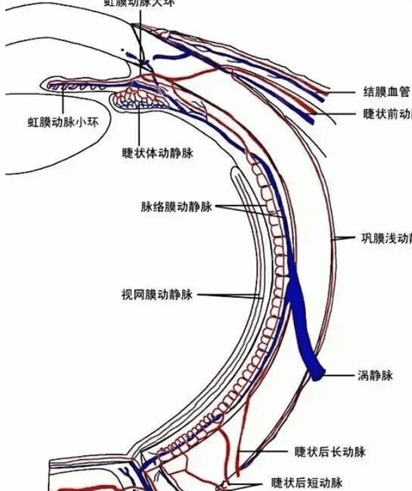 重庆近视眼手术眼科医院排名 皆是重庆近视眼手术实力好医院