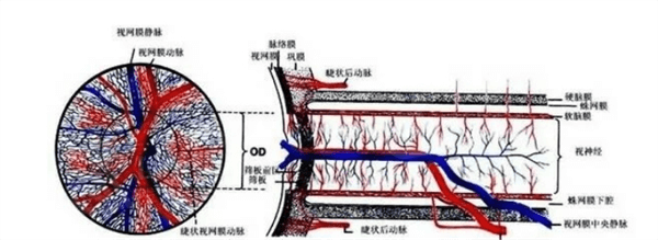 乌鲁木齐EVO散光晶体眼科医院排名前3 排名前3里乌鲁木齐美尼康眼科医院/普瑞/乌鲁木齐爱尔阿迪娅眼科挺出名