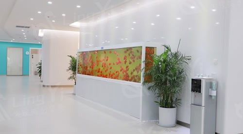 重庆团圆口腔费用一览：种植牙/拔牙（智齿）/牙齿美白/儿童窝沟封闭收费标准 渝北区分院参考价