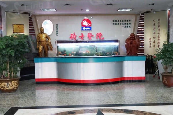 重庆骑士